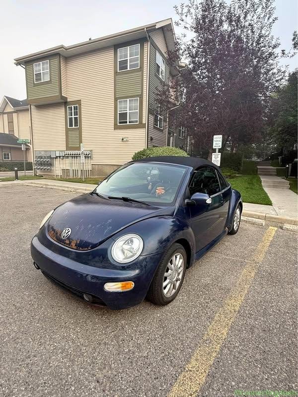 2004 Volkswagen Beetle