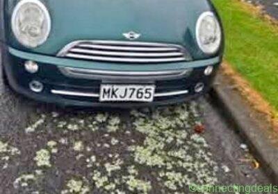 2006 BMW MINI in Auckland