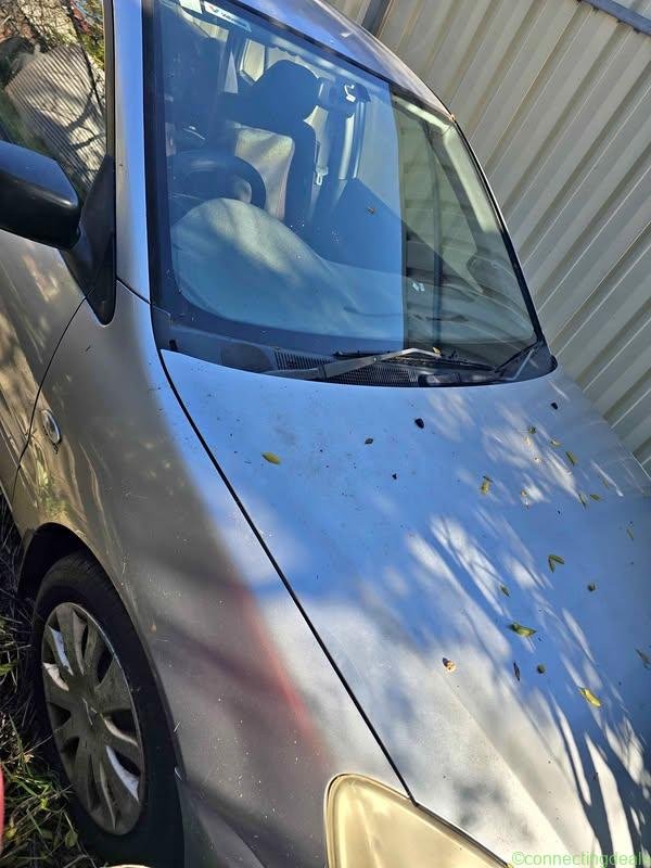 2006 Mitsubishi Lancer