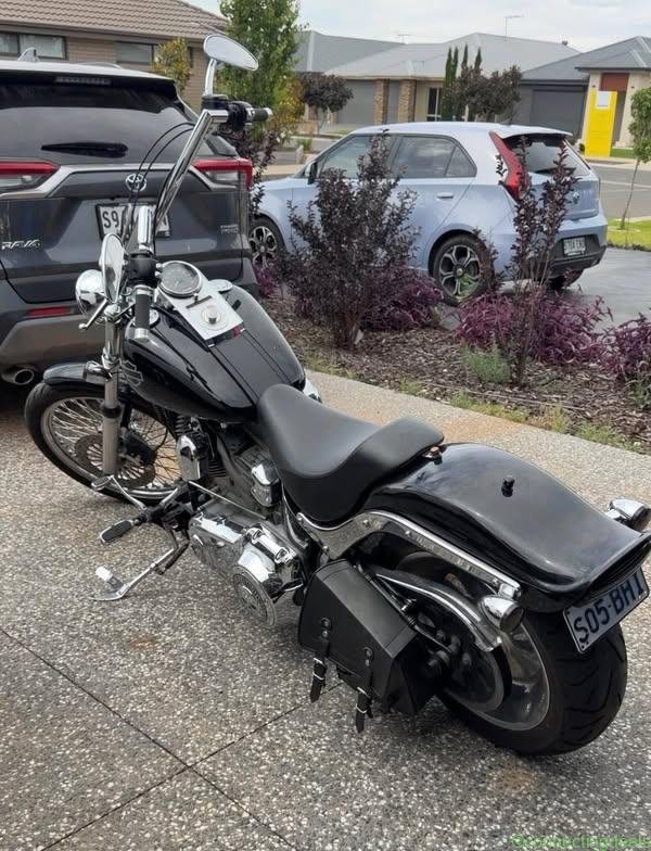 2007 Harley-Davidson Softail