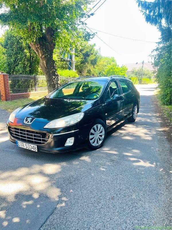 2010 Peugeot 407