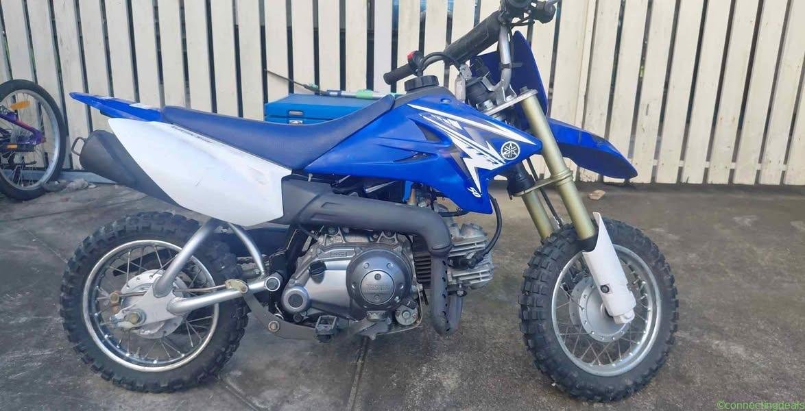 2010 Yamaha TT