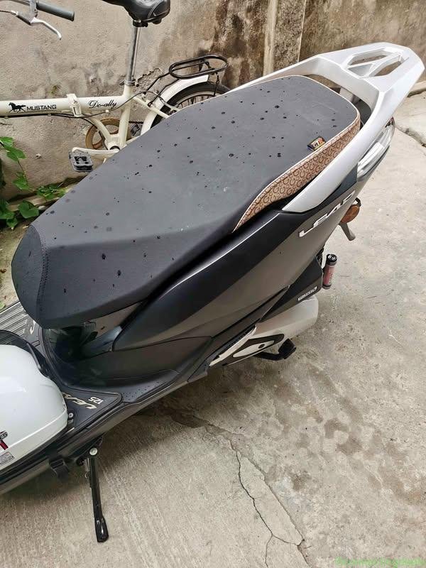 2026 Honda Lead
