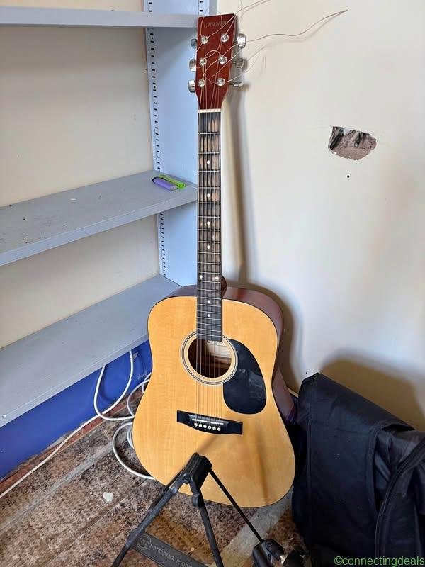 Acoustic guitar