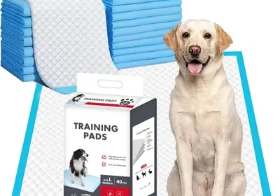 Free ad: Almohadillas de Entrenamiento Desechables para Mascotas - 40 Piezas Super Absorbentes - 12% Descuento in Mexico. Almohadillas de Entrenamiento Desechables para Mascotas - 40 Piezas Super Absorbentes - 12% Descuento in Mexico