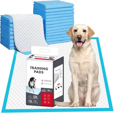 Almohadillas de Entrenamiento Desechables para Mascotas – 40 Piezas Super Absorbentes – 12% Descuento
