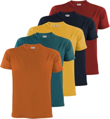 Alpidex Camiseta para Hombre, Pack de 5 Cuello Redondo 100% Algodón Sólido Manga Corta Camisa Casual Talla S-4XL