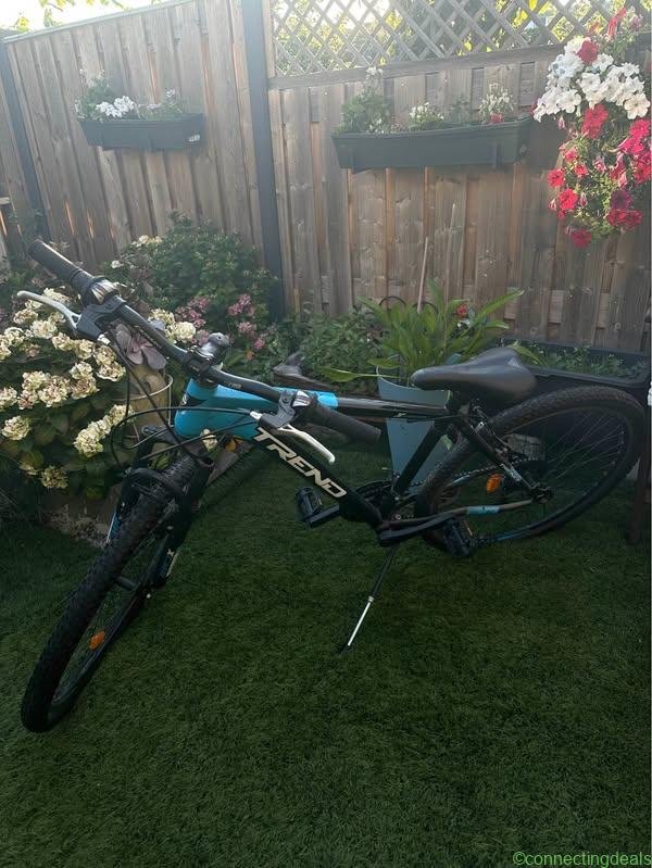 Altec mountain bike