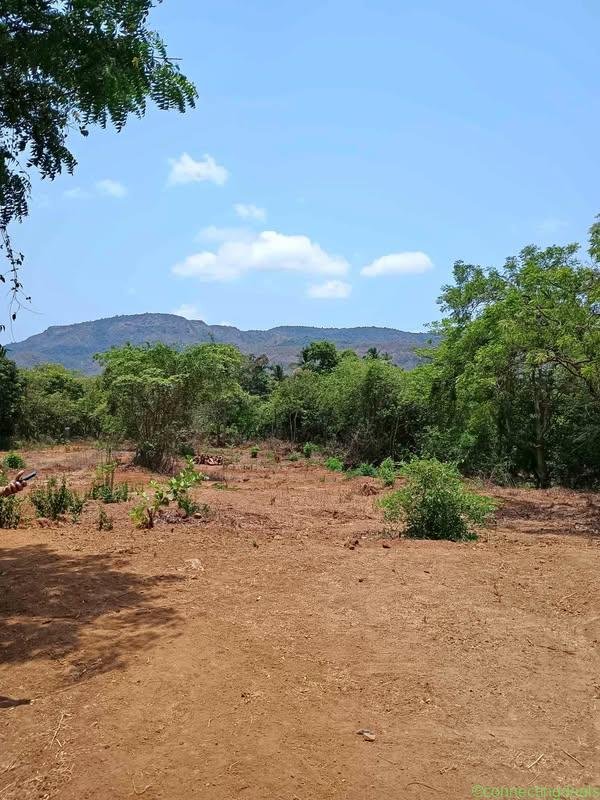 Ambepur , bandhan agriculture land