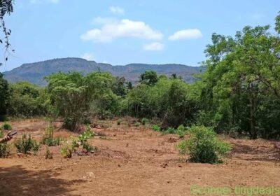 Free ad: Ambepur , bandhan agriculture land in Mumbai. Ambepur , bandhan agriculture land in Mumbai