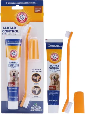 Arm & Hammer Beef Dental Kit Best Deal
