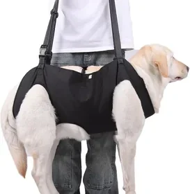 Free ad: Arnés de Elevación para Perros, Soporte Pechera Ajustable, Seguridad para Caminar y Subir Escaleras in Mexico. Arnés de Elevación para Perros, Soporte Pechera Ajustable, Seguridad para Caminar y Subir Escaleras in Mexico