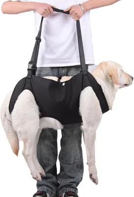 Arnés de Elevación para Perros, Soporte Pechera Ajustable, Seguridad para Caminar y Subir Escaleras