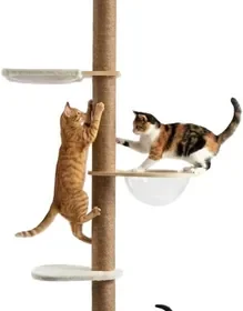 Avilia - Posta per Gatti Regolabile da Soffitto, Torre Verticale Risparmiativo dello Spazio con Amaca a Cupola e Kennel in Italy