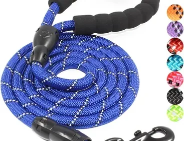 BAAPET Dog Leash with Reflective Threads - Best Deal in Singapore