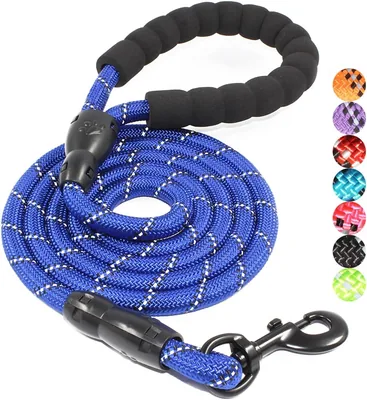 BAAPET Dog Leash with Reflective Threads – Best Deal