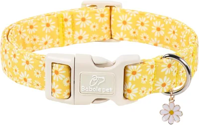 Free ad: Babole Pet Yellow Daisy Dog Collar 37% Off in United States. Babole Pet Yellow Daisy Dog Collar 37% Off in United States