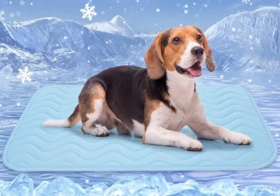 Free ad: BaoDan Mat de Refroidissement pour Chats et Chiens, 90 x 56 cm, Tissu en Soie Glacée Respirant, Lavable, Durable, Idéal pour les Animaux en Été - Meilleur Prix in France. BaoDan Mat de Refroidissement pour Chats et Chiens, 90 x 56 cm, Tissu en Soie Glacée Respirant, Lavable, Durable, Idéal pour les Animaux en Été - Meilleur Prix in France