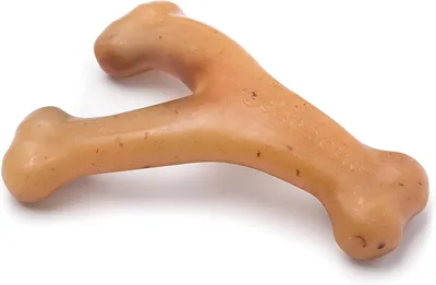 Benebone Wishbone Chew Toy for Aggressive Chewers - 19% Off in Singapore