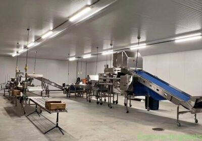 Berry Packing Equipment in Vancouver
