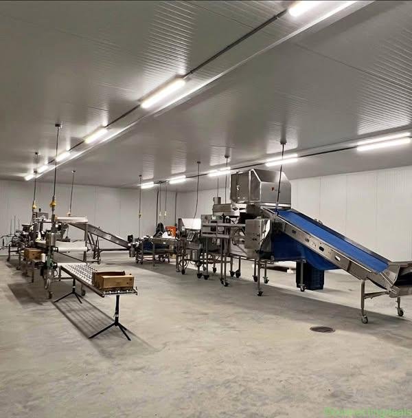 Berry Packing Equipment