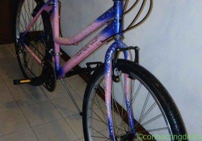 Free ad: Bici TOP BIKE in Rome. Bici TOP BIKE in Rome