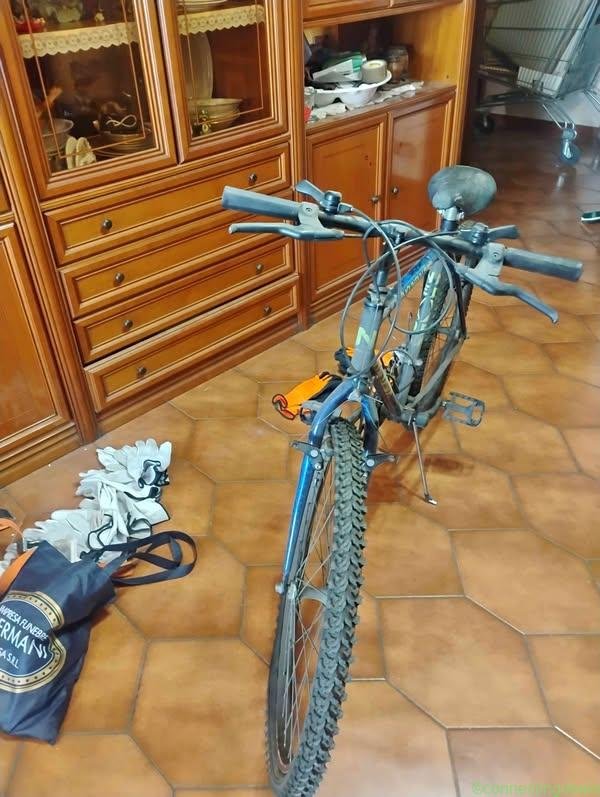 Bicicletta Mountain bike