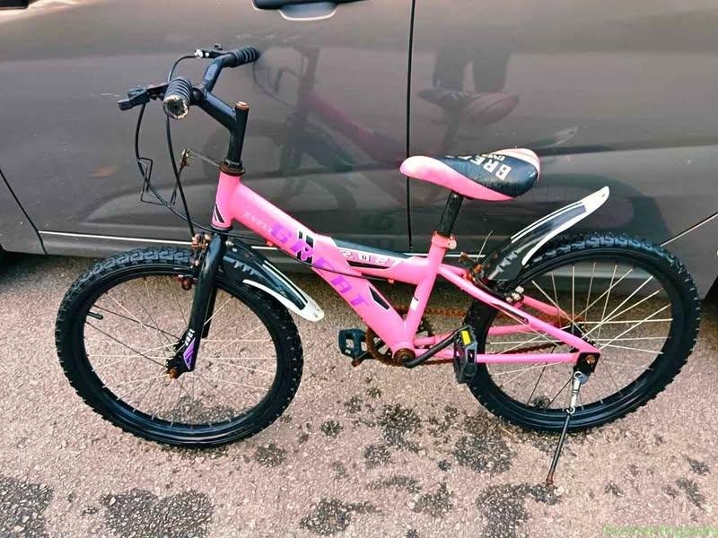 Bicycle 20 inch Suma ok