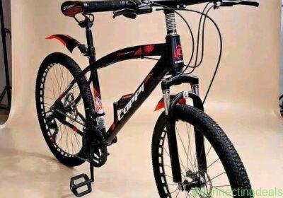 Bicycle in Johannesburg