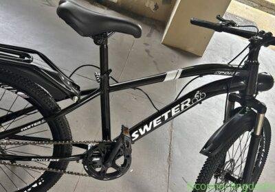 Bicycle in Singapore