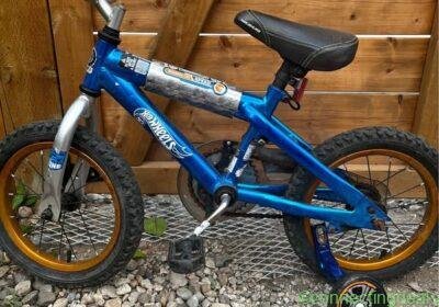 Bike in Calgary