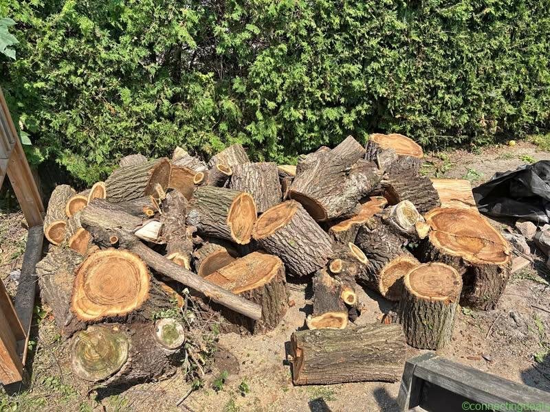 Bois à donner