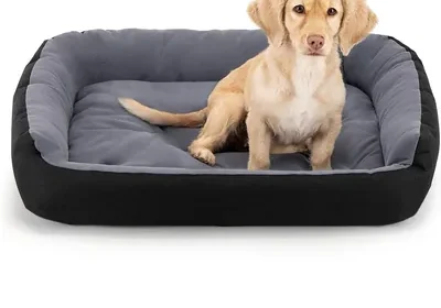 Free ad: Cama para Perro PETS APPAREL HILLS, Resistente y Confortable, Relleno Suave, Medidas Medium, Negra/Gris - 20% de Descuento in Mexico. Cama para Perro PETS APPAREL HILLS, Resistente y Confortable, Relleno Suave, Medidas Medium, Negra/Gris - 20% de Descuento in Mexico