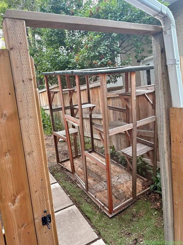 Catio