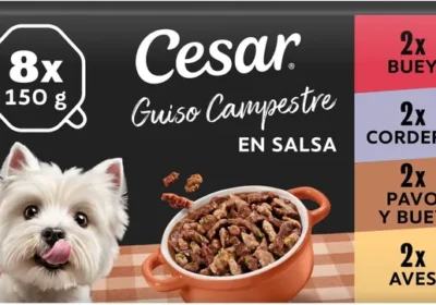 Free ad: Cesar Pak Campesin 3 x 8 x 150 Bh01J, Recetas Campesinas con Salsa, 5.3 Onzas (Paquete de 24) - Mejor Oferta in Spain. Cesar Pak Campesin 3 x 8 x 150 Bh01J, Recetas Campesinas con Salsa, 5.3 Onzas (Paquete de 24) - Mejor Oferta in Spain
