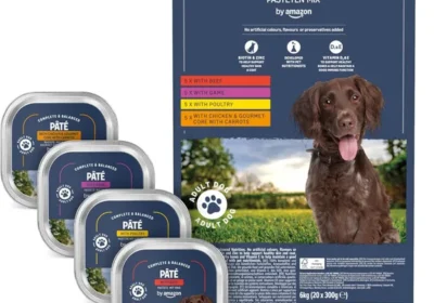 Free ad: Cibo Umido per Cani by Amazon, 20 Pates da 300g - Miglior Affare in Italy. Cibo Umido per Cani by Amazon, 20 Pates da 300g - Miglior Affare in Italy