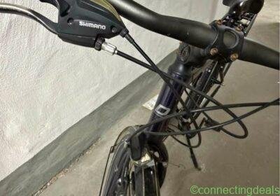 City Bike Dynamics Magic Lite II Hybrid in Frankfurt