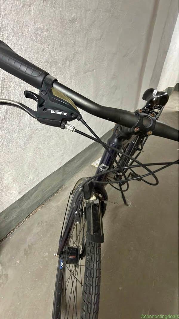 City Bike Dynamics Magic Lite II Hybrid
