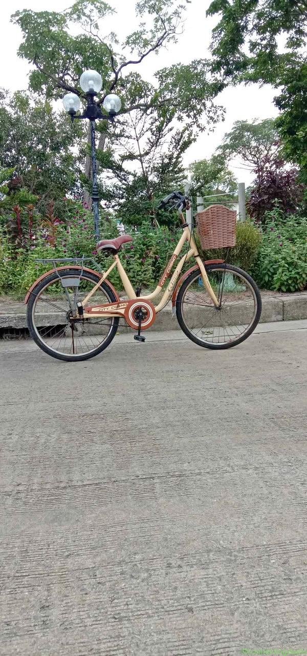 City Cosmo Bike
