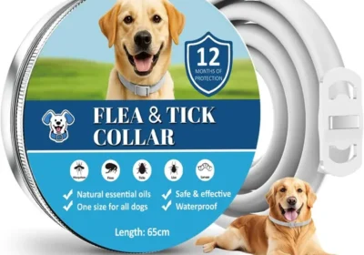 Collar Antiparasitario para Perros - 12 Meses de Protección - Con Aceites Esenciales in Portugal
