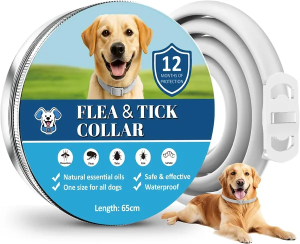 Collar Antiparasitario para Perros – 12 Meses de Protección – Con Aceites Esenciales