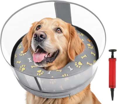 Collar de Recuperación para Perros, Collar Isabelino con Pantalla Retráctil y Inflable, Mejor Oferta
