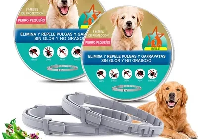 Free ad: Collar para Perro Weigongr 2Pzs, Protección Continua 8 Meses, Impermeable y Ajustable, para Perros Chicos y Medianos in Mexico. Collar para Perro Weigongr 2Pzs, Protección Continua 8 Meses, Impermeable y Ajustable, para Perros Chicos y Medianos in Mexico