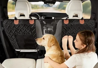 Free ad: CuteMaster 犬用カーシートバリアー ペットバリアー 背席ネット 飛び出し防止 犬用 カードイビダー メッシュ収納ポケット in Japan. CuteMaster 犬用カーシートバリアー ペットバリアー 背席ネット 飛び出し防止 犬用 カードイビダー メッシュ収納ポケット in Japan