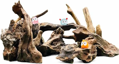 フィットスタイカル [セット5] プリカット ドリフトウッド 4-8cm アクアリウム用 in Japan