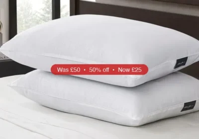 Eddie Bauer 2-Pack Pillow, Jumbo - 50% Off in United States