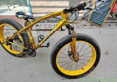 ELANDIKE cycle in Delhi
