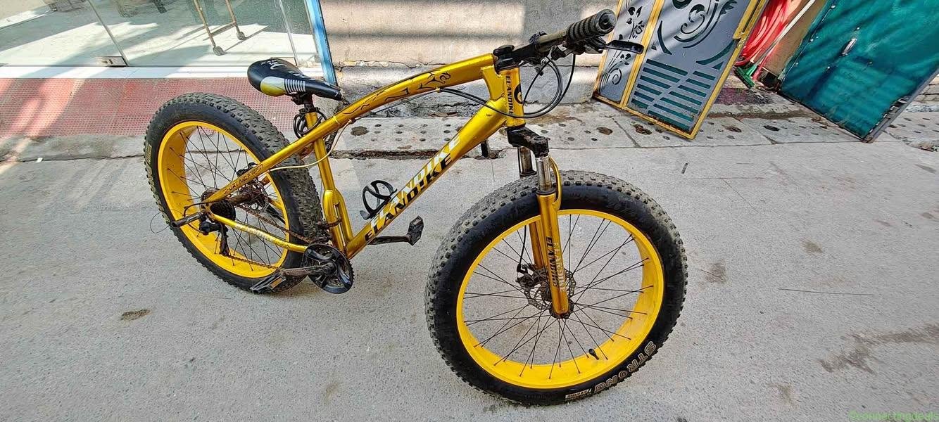 ELANDIKE cycle