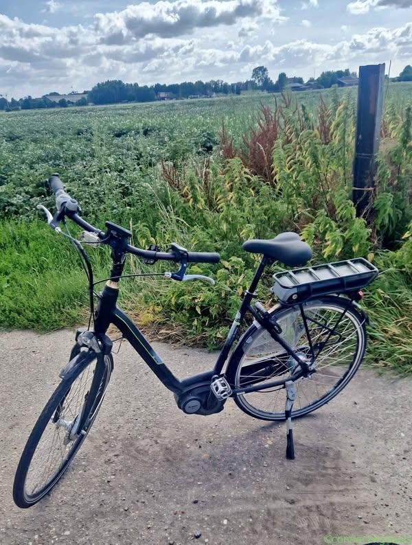 Elektrische fiets