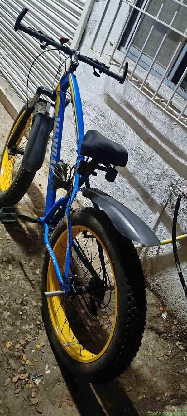 Fat bike cycle